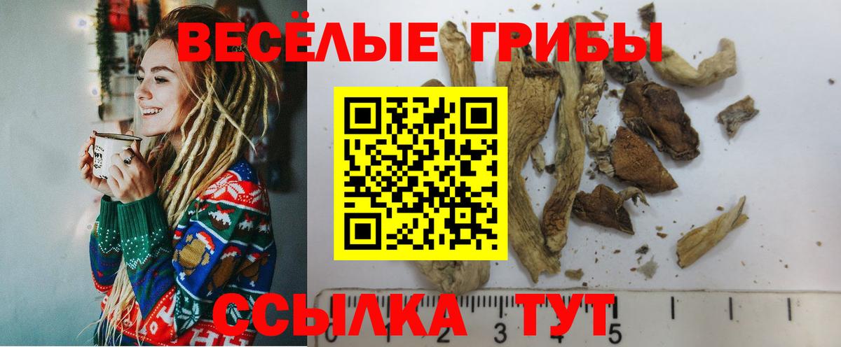 Псилоцибиновые грибы Cubensis  Галлюциногенные грибы ЛСД  Вход с VPN  даркнет сайт  Острогожск 