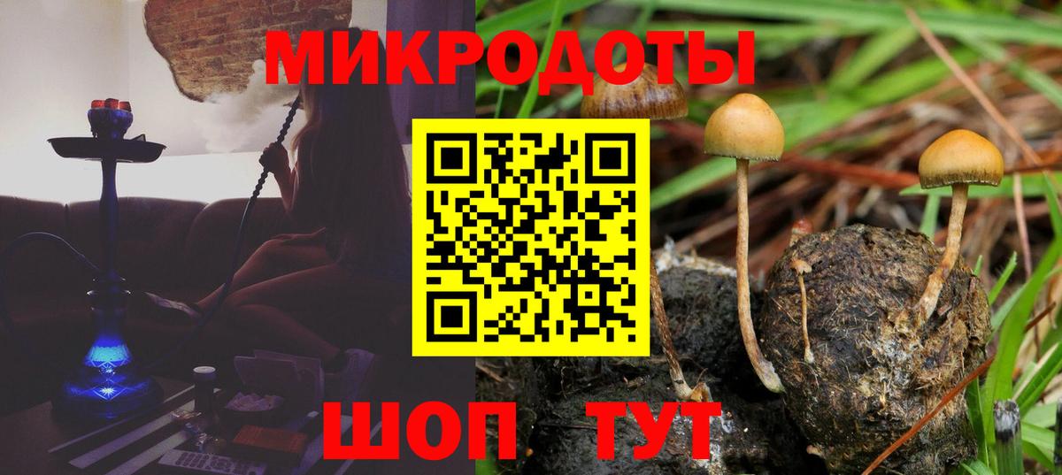 Псилоцибиновые грибы Psilocybe Острогожск